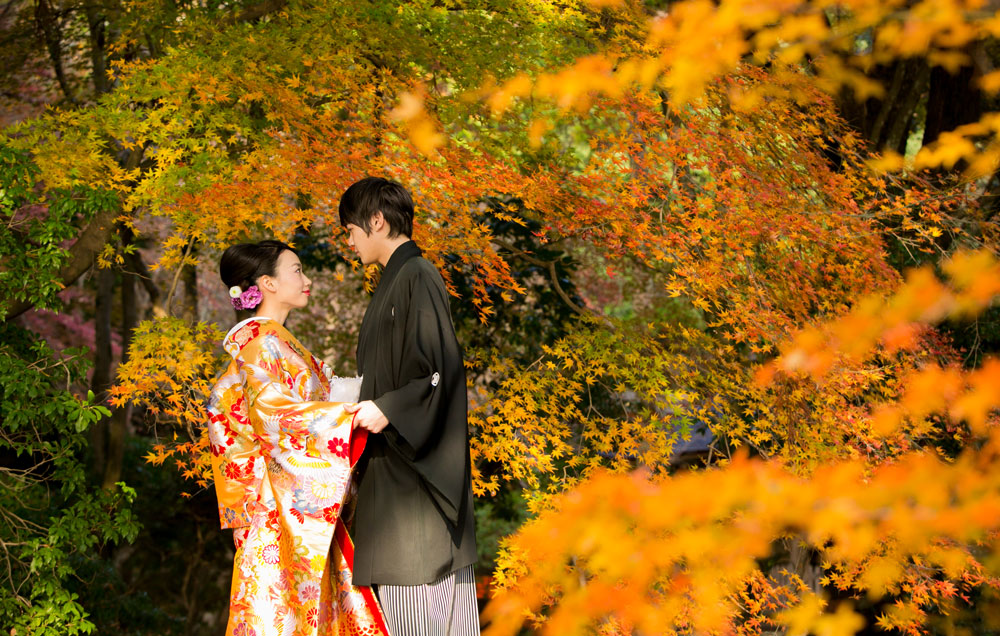 京都市 和婚なび 京都の結婚式ができる神社掲載数no 1 京都神社挙式専門